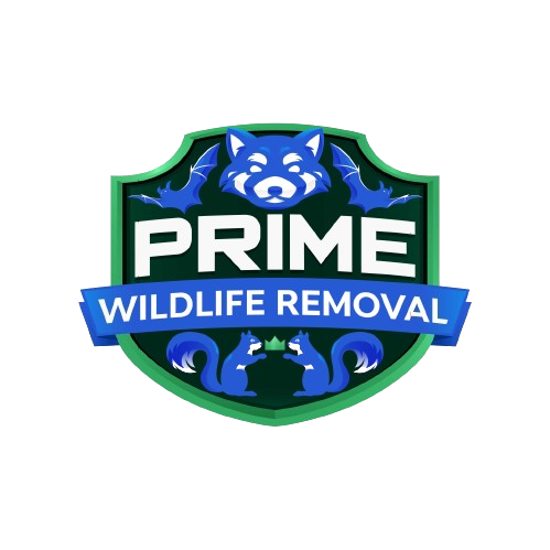 Wildlife Removal Yankee Springs Township